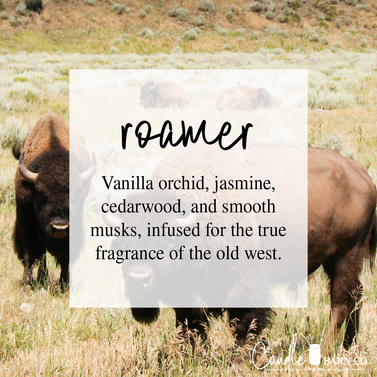 Roamer Large Breakaway Soy Melts