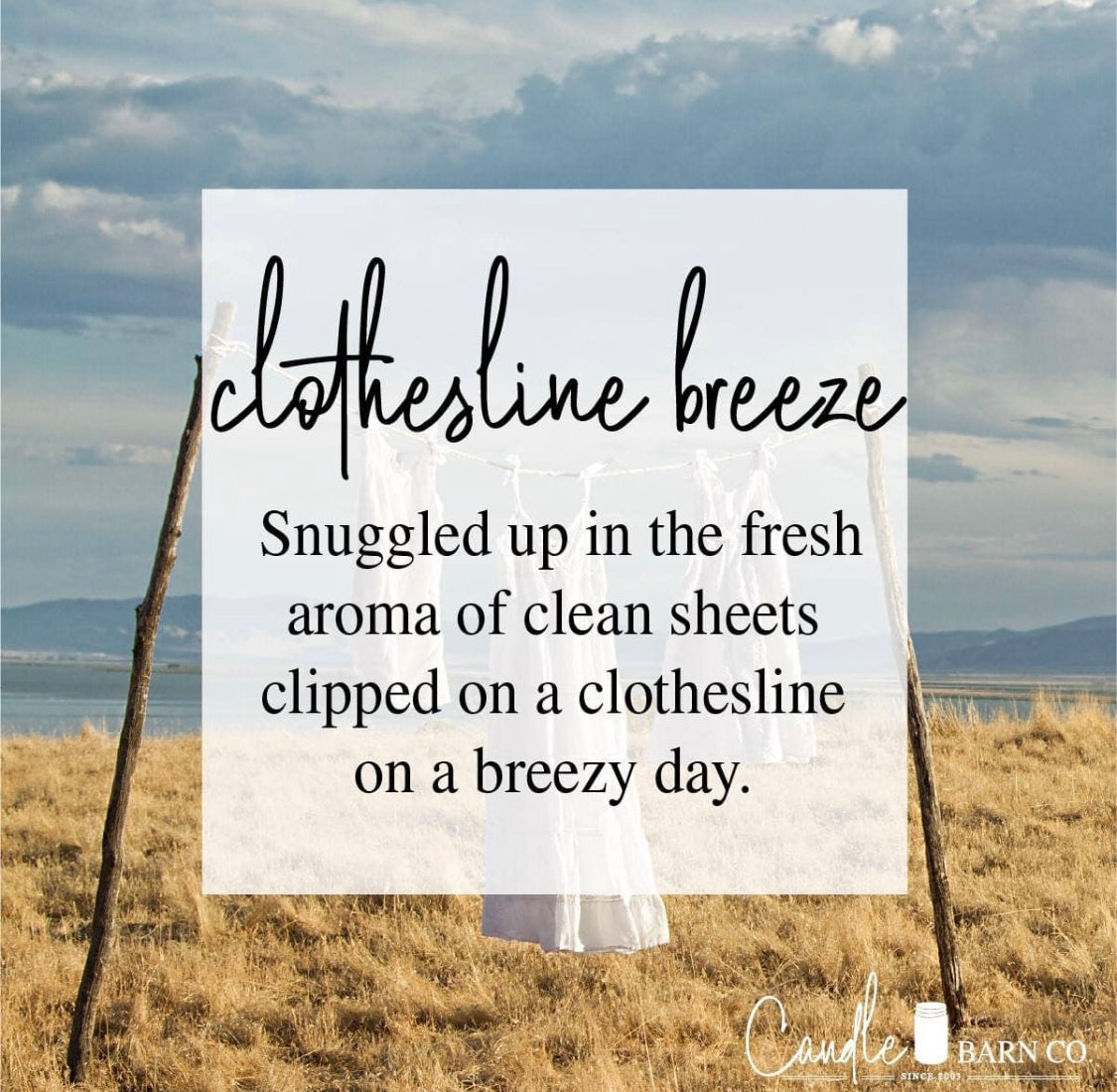 Clothesline Breeze Large Breakaway Soy Melts